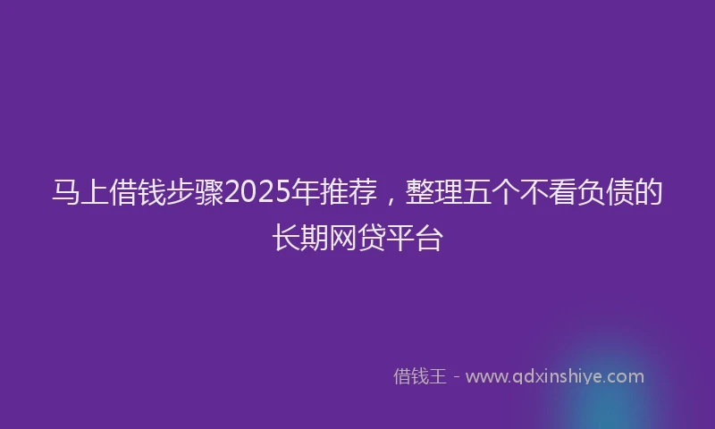 马上借钱步骤2025年推荐，整理五个不看负债的长期网贷平台