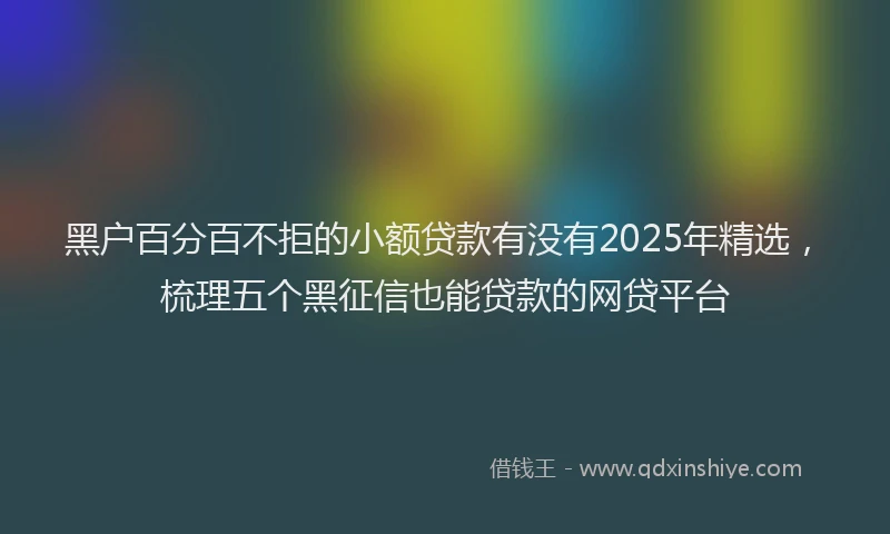 黑户百分百不拒的小额贷款有没有2025年精选，梳理五个黑征信也能贷款的网贷平台