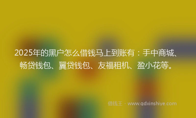 2025年的黑户怎么借钱马上到账有：手中商城、畅贷钱包、翼贷钱包、友福租机、盈小花等。