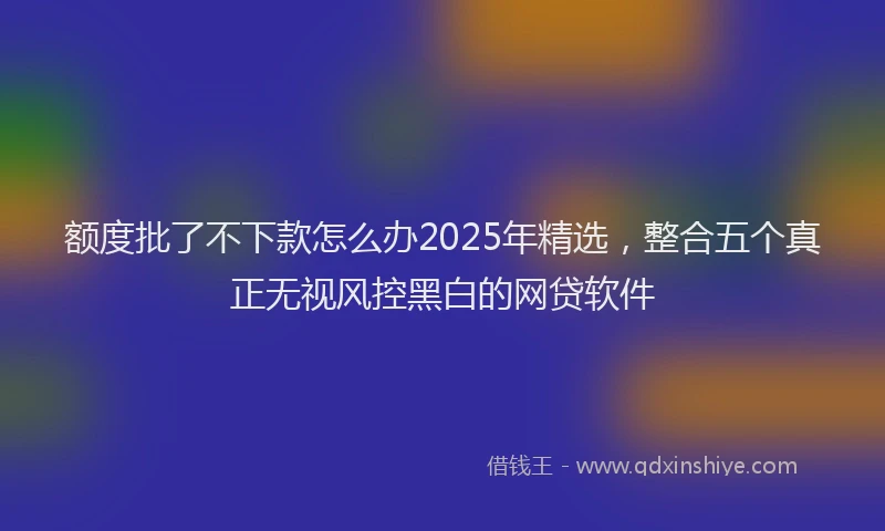 额度批了不下款怎么办2025年精选，整合五个真正无视风控黑白的网贷软件
