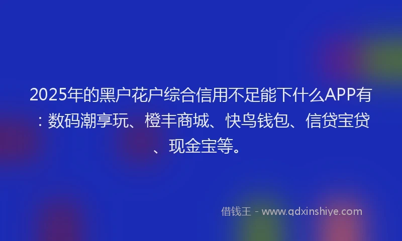 2025年的黑户花户综合信用不足能下什么APP有：数码潮享玩、橙丰商城、快鸟钱包、信贷宝贷、现金宝等。