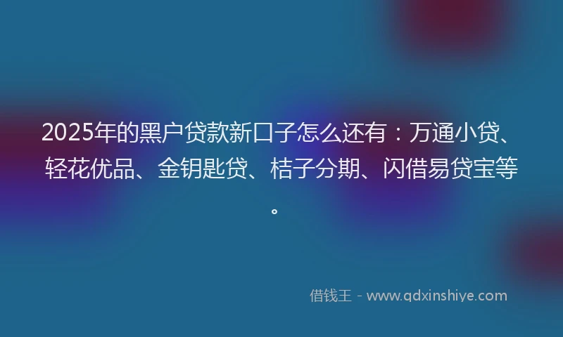 2025年的黑户贷款新口子怎么还有：万通小贷、轻花优品、金钥匙贷、桔子分期、闪借易贷宝等。