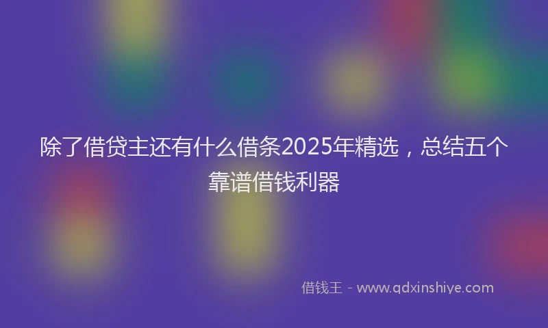 除了借贷主还有什么借条2025年精选，总结五个靠谱借钱利器