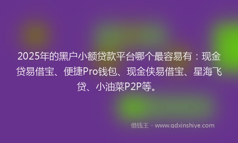 2025年的黑户小额贷款平台哪个最容易有：现金贷易借宝、便捷Pro钱包、现金侠易借宝、星海飞贷、小油菜P2P等。