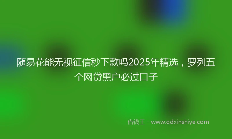 随易花能无视征信秒下款吗2025年精选，罗列五个网贷黑户必过口子