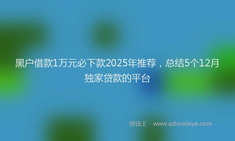 黑户借款1万元必下款2025年推荐，总结5个12月独家贷款的平台