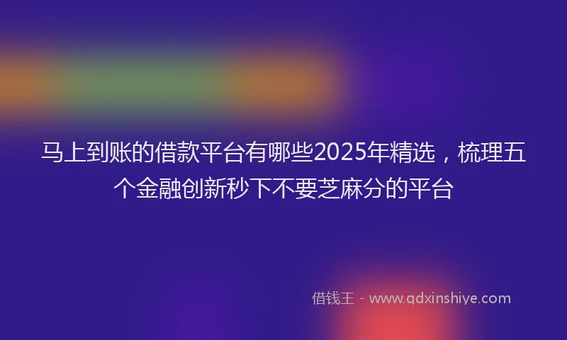 马上到账的借款平台有哪些2025年精选，梳理五个金融创新秒下不要芝麻分的平台