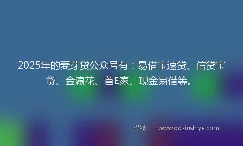 2025年的麦芽贷公众号有：易借宝速贷、信贷宝贷、金瀛花、首E家、现金易借等。