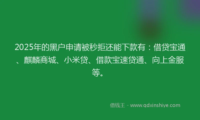 2025年的黑户申请被秒拒还能下款有：借贷宝通、麒麟商城、小米贷、借款宝速贷通、向上金服等。