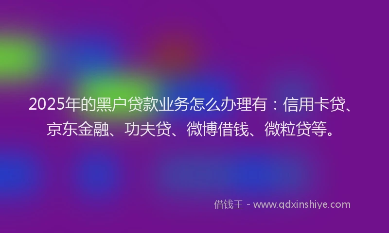 2025年的黑户贷款业务怎么办理有：信用卡贷、京东金融、功夫贷、微博借钱、微粒贷等。