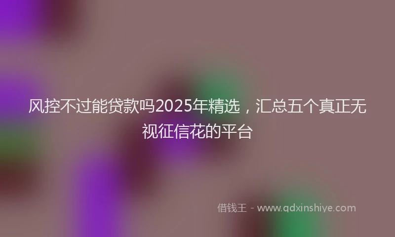 风控不过能贷款吗2025年精选，汇总五个真正无视征信花的平台
