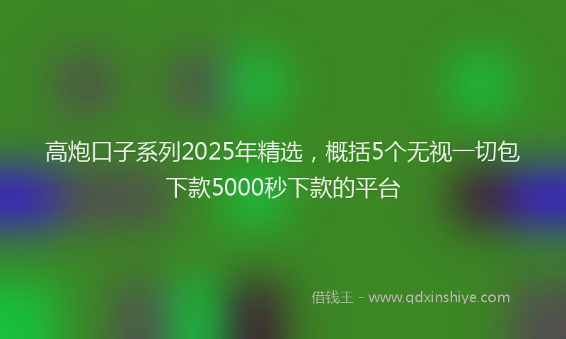 高炮口子系列2025年精选，概括5个无视一切包下款5000秒下款的平台
