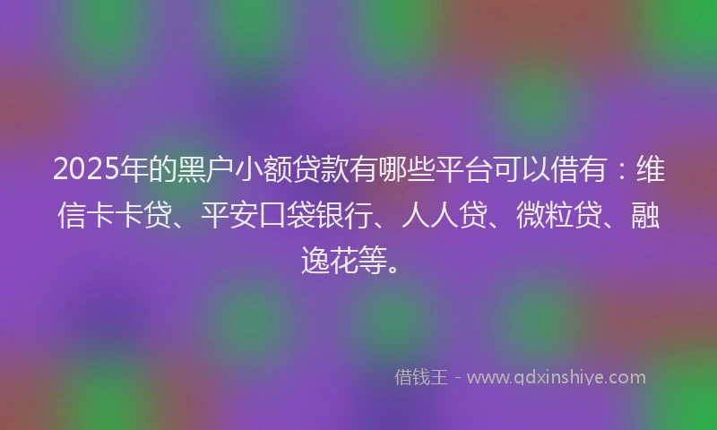 2025年的黑户小额贷款有哪些平台可以借有：维信卡卡贷、平安口袋银行、人人贷、微粒贷、融逸花等。