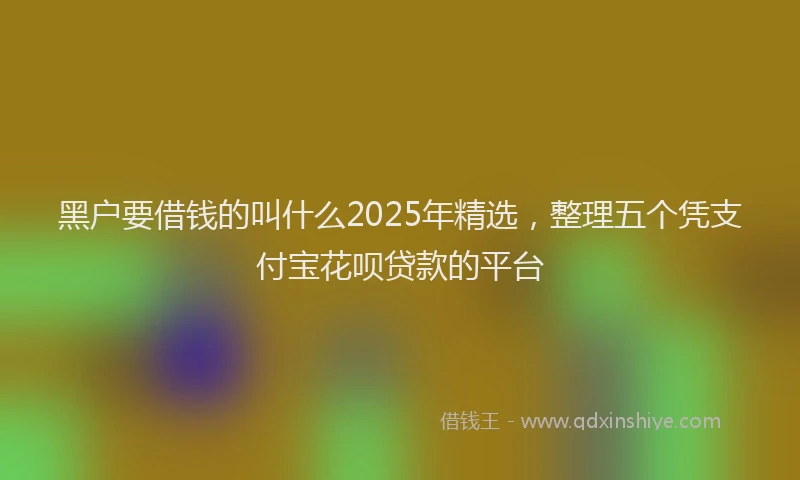 黑户要借钱的叫什么2025年精选，整理五个凭支付宝花呗贷款的平台