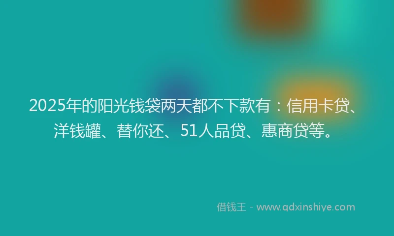 2025年的阳光钱袋两天都不下款有：信用卡贷、洋钱罐、替你还、51人品贷、惠商贷等。