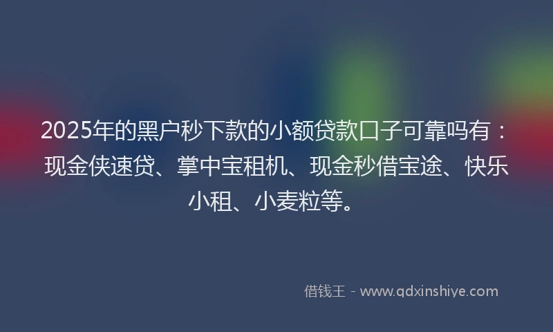 2025年的黑户秒下款的小额贷款口子可靠吗有：现金侠速贷、掌中宝租机、现金秒借宝途、快乐小租、小麦粒等。