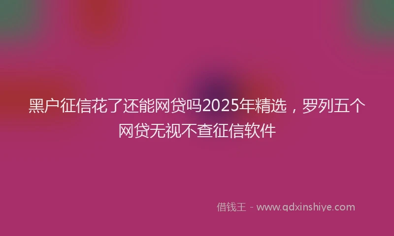 黑户征信花了还能网贷吗2025年精选，罗列五个网贷无视不查征信软件