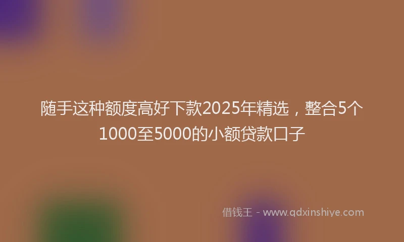 随手这种额度高好下款2025年精选，整合5个1000至5000的小额贷款口子