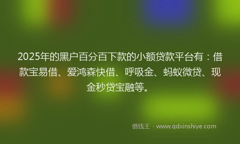 2025年的黑户百分百下款的小额贷款平台有：借款宝易借、爱鸿森快借、呼吸金、蚂蚁微贷、现金秒贷宝融等。