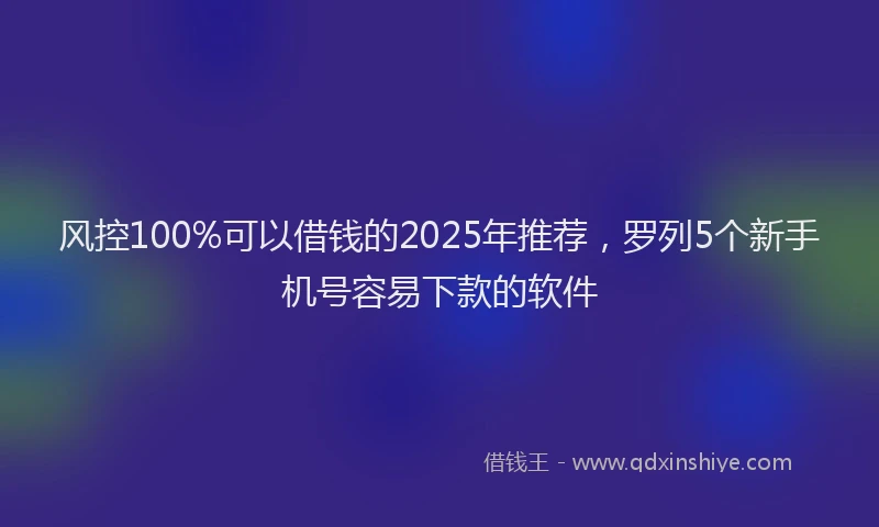 风控100%可以借钱的2025年推荐，罗列5个新手机号容易下款的软件