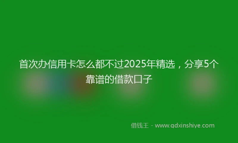 首次办信用卡怎么都不过2025年精选，分享5个靠谱的借款口子
