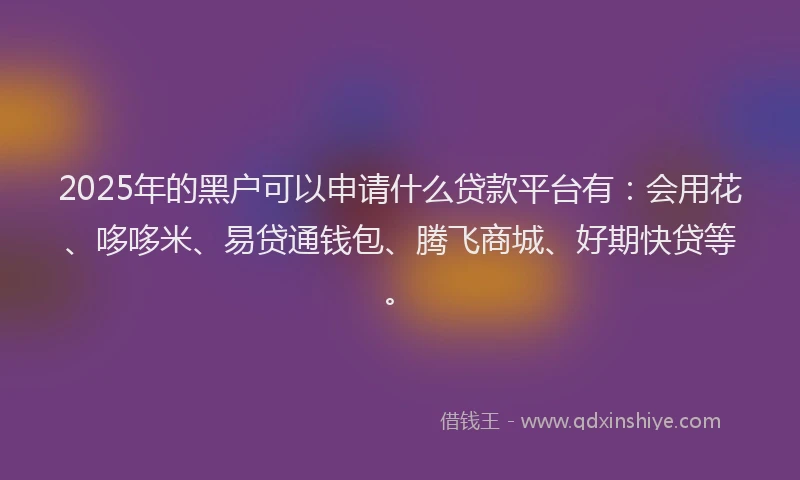 2025年的黑户可以申请什么贷款平台有：会用花、哆哆米、易贷通钱包、腾飞商城、好期快贷等。