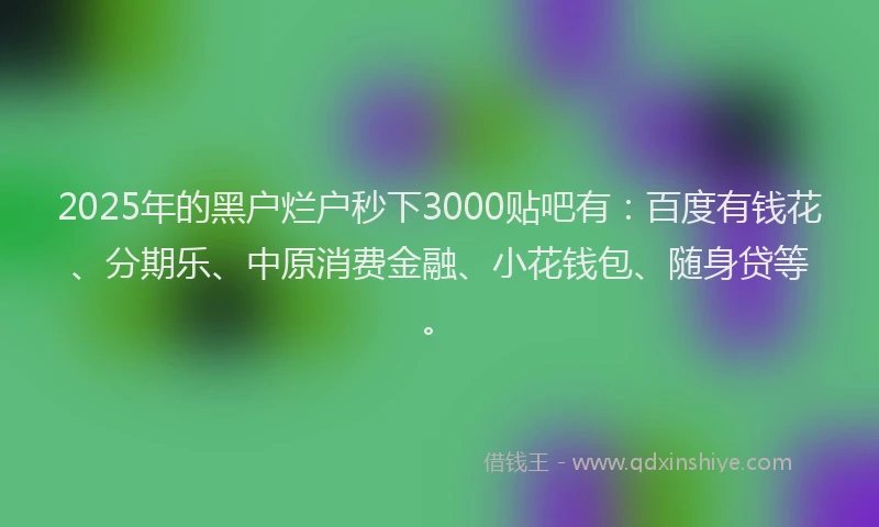 2025年的黑户烂户秒下3000贴吧有：百度有钱花、分期乐、中原消费金融、小花钱包、随身贷等。