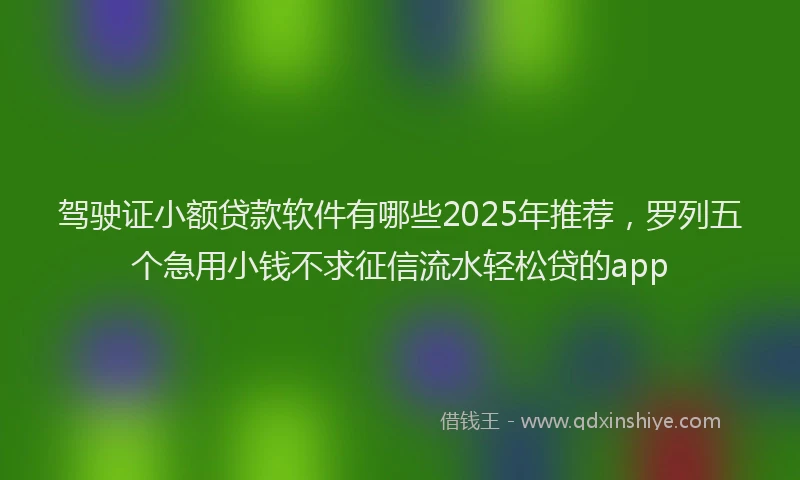 驾驶证小额贷款软件有哪些2025年推荐，罗列五个急用小钱不求征信流水轻松贷的app