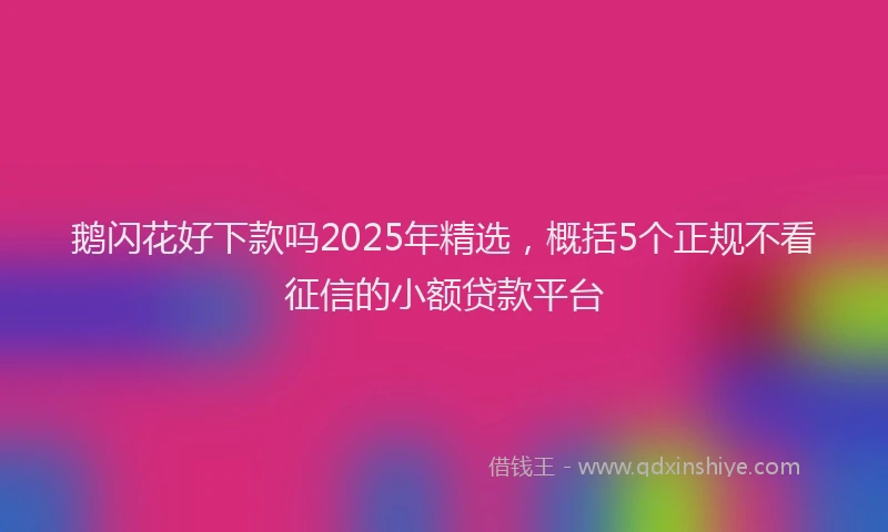 鹅闪花好下款吗2025年精选，概括5个正规不看征信的小额贷款平台