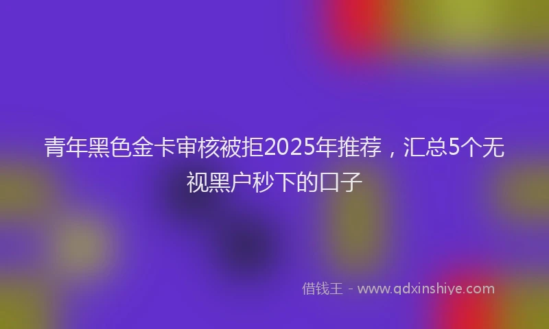 青年黑色金卡审核被拒2025年推荐，汇总5个无视黑户秒下的口子