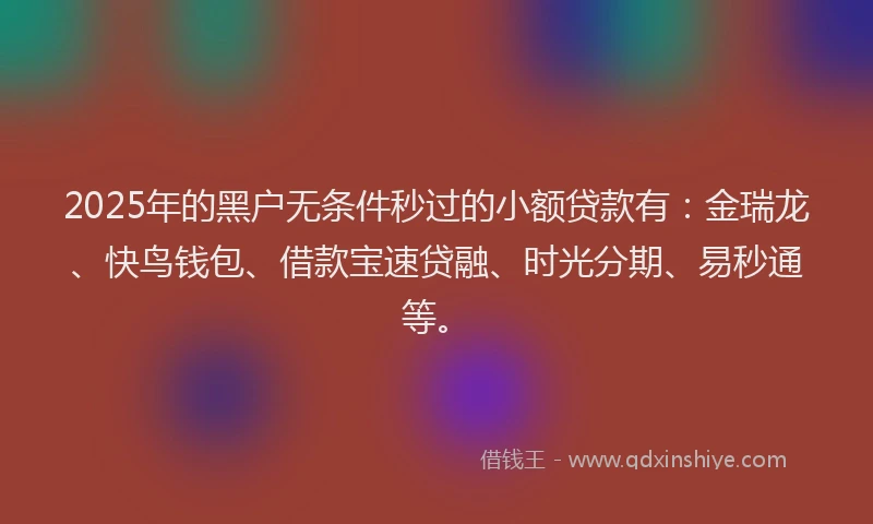 2025年的黑户无条件秒过的小额贷款有：金瑞龙、快鸟钱包、借款宝速贷融、时光分期、易秒通等。