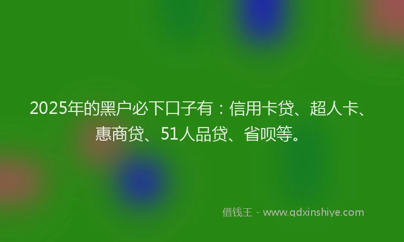 2025年的黑户必下口子有：信用卡贷、超人卡、惠商贷、51人品贷、省呗等。