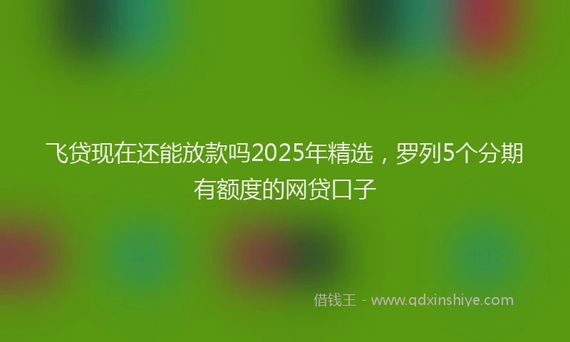飞贷现在还能放款吗2025年精选，罗列5个分期有额度的网贷口子