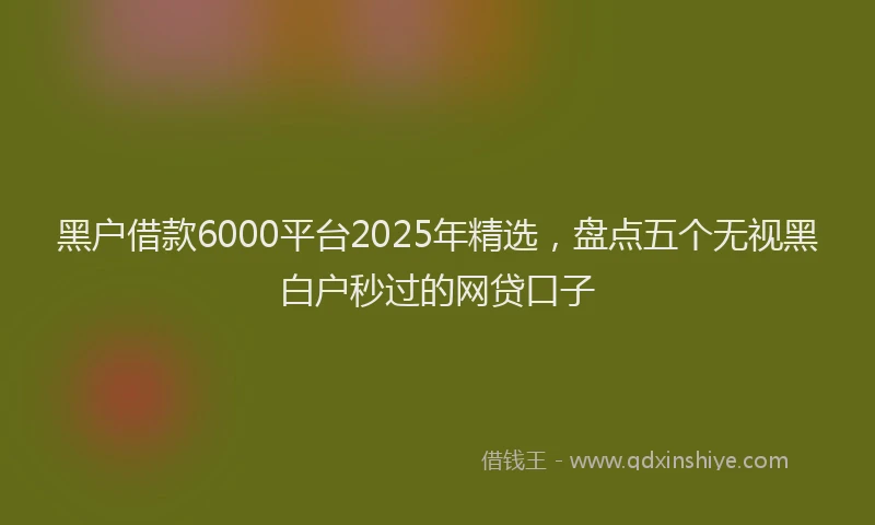 黑户借款6000平台2025年精选，盘点五个无视黑白户秒过的网贷口子