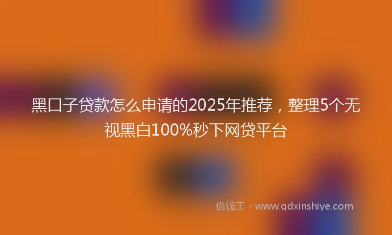 黑口子贷款怎么申请的2025年推荐，整理5个无视黑白100%秒下网贷平台