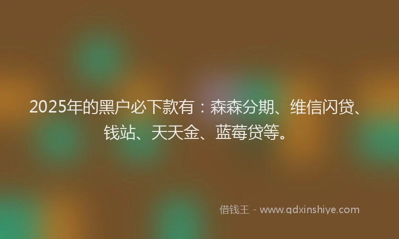 2025年的黑户必下款有：森森分期、维信闪贷、钱站、天天金、蓝莓贷等。