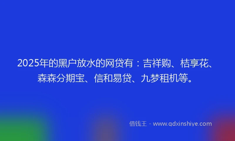 2025年的黑户放水的网贷有：吉祥购、桔享花、森森分期宝、信和易贷、九梦租机等。