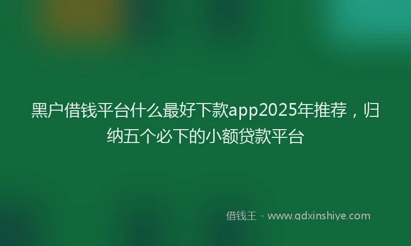 黑户借钱平台什么最好下款app2025年推荐，归纳五个必下的小额贷款平台