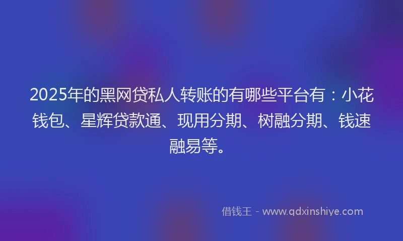 2025年的黑网贷私人转账的有哪些平台有：小花钱包、星辉贷款通、现用分期、树融分期、钱速融易等。