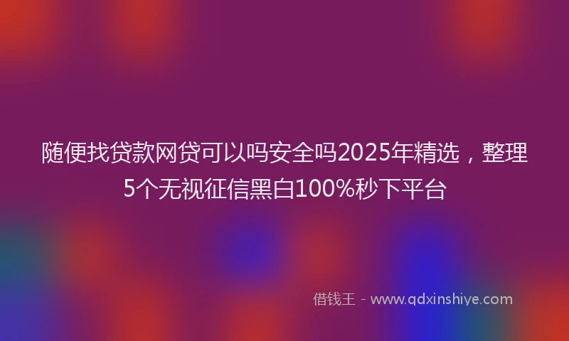 随便找贷款网贷可以吗安全吗2025年精选，整理5个无视征信黑白100%秒下平台