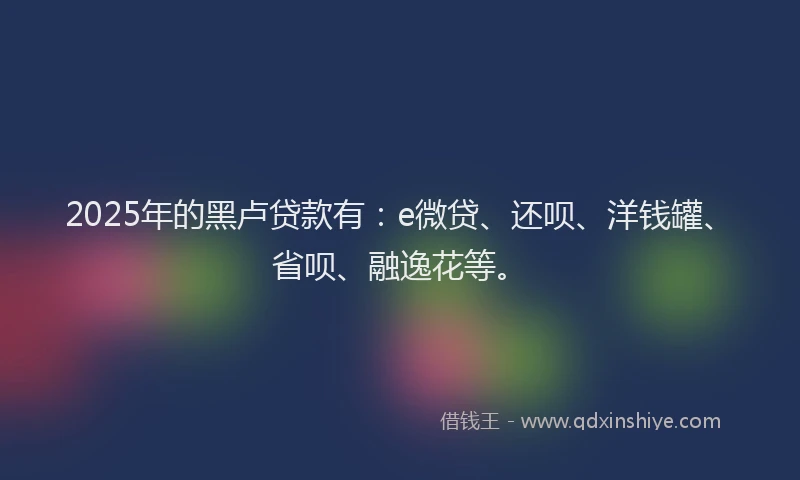2025年的黑卢贷款有：e微贷、还呗、洋钱罐、省呗、融逸花等。