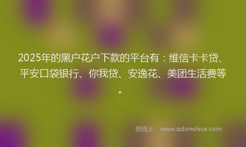 2025年的黑户花户下款的平台有：维信卡卡贷、平安口袋银行、你我贷、安逸花、美团生活费等。