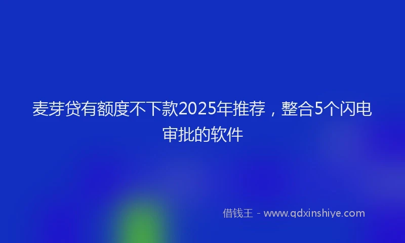麦芽贷有额度不下款2025年推荐，整合5个闪电审批的软件