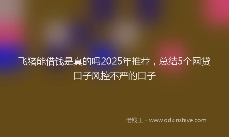飞猪能借钱是真的吗2025年推荐，总结5个网贷口子风控不严的口子