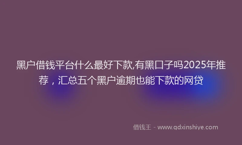 黑户借钱平台什么最好下款,有黑口子吗2025年推荐，汇总五个黑户逾期也能下款的网贷