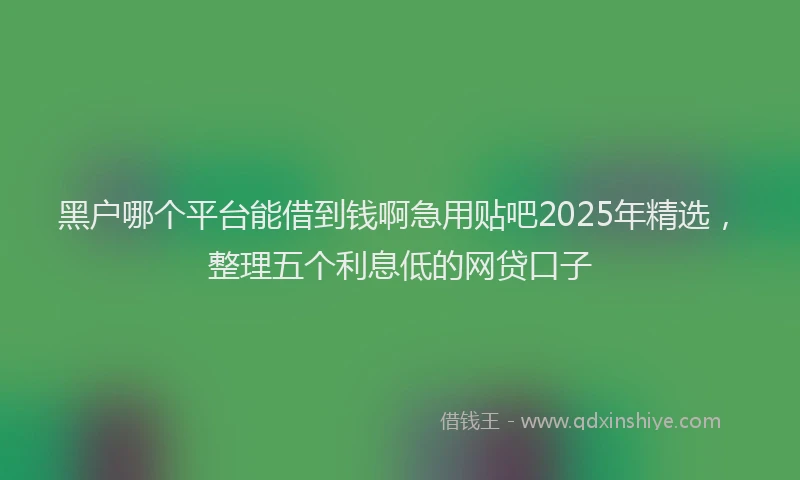 黑户哪个平台能借到钱啊急用贴吧2025年精选，整理五个利息低的网贷口子
