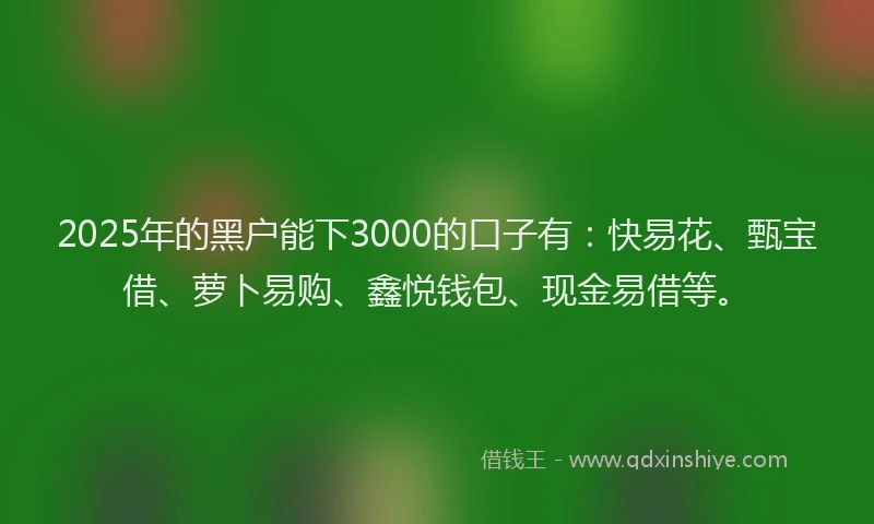 2025年的黑户能下3000的口子有：快易花、甄宝借、萝卜易购、鑫悦钱包、现金易借等。