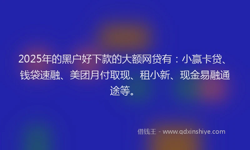 2025年的黑户好下款的大额网贷有：小赢卡贷、钱袋速融、美团月付取现、租小新、现金易融通途等。