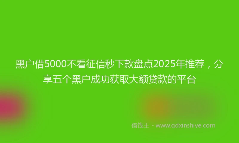 黑户借5000不看征信秒下款盘点2025年推荐，分享五个黑户成功获取大额贷款的平台