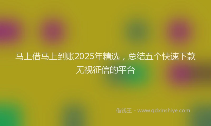 马上借马上到账2025年精选，总结五个快速下款无视征信的平台
